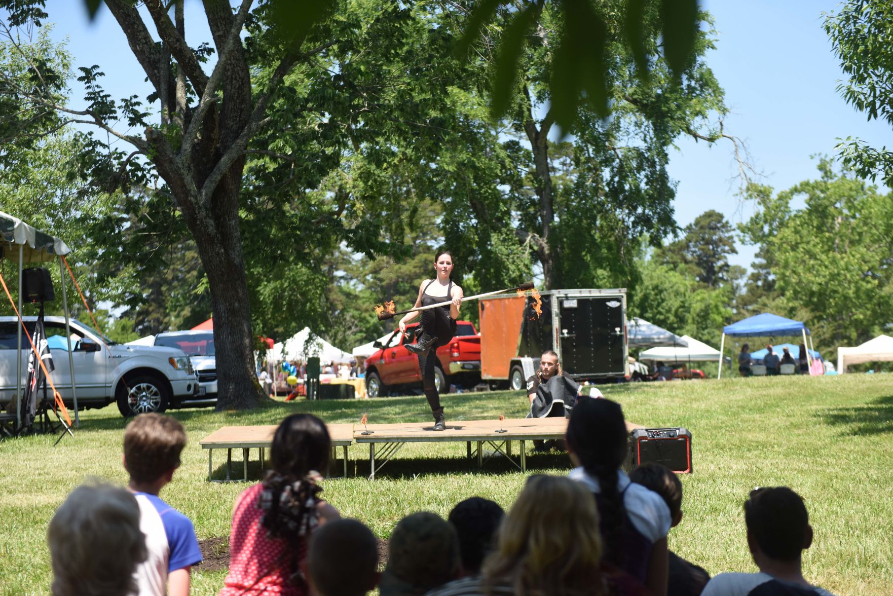 Festival in the Park